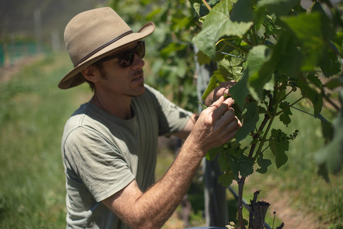 Simon flying the flag for Gibbston wine in the USA: May 2024